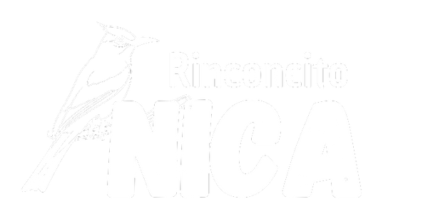 Rinconcito Nica